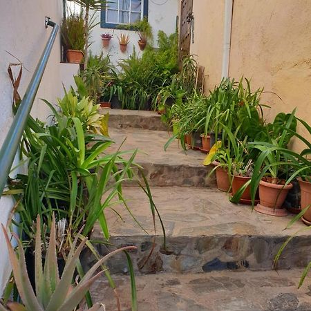 Casa Apartamento Los Llanos Los Llanos De Aridane Zewnętrze zdjęcie