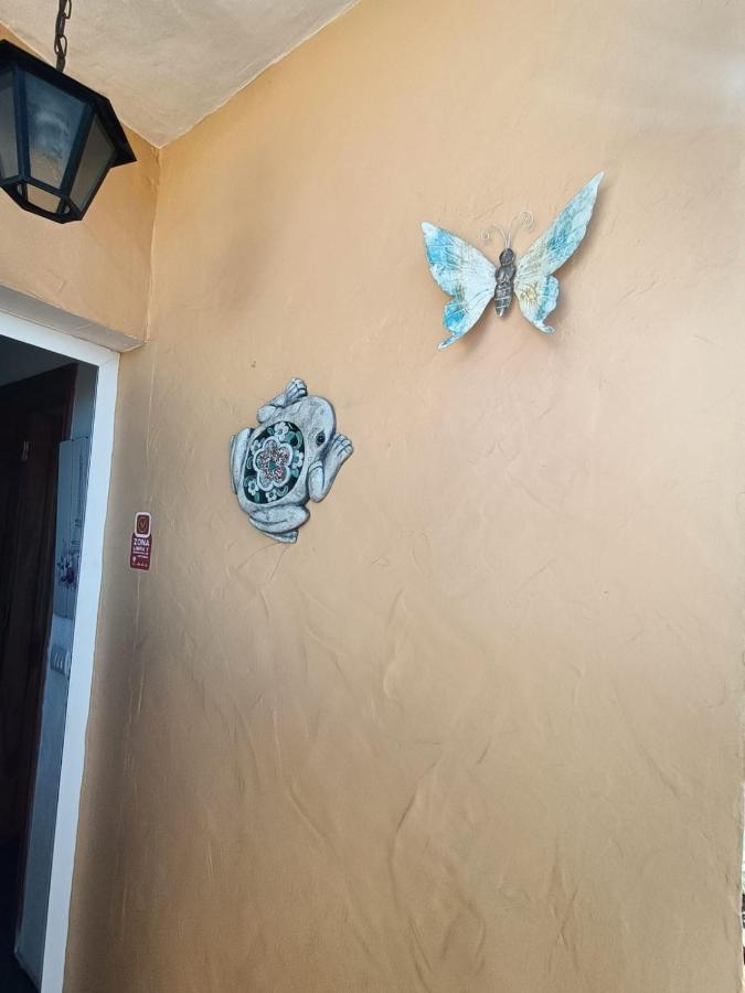 Casa Apartamento Los Llanos Los Llanos De Aridane Zewnętrze zdjęcie